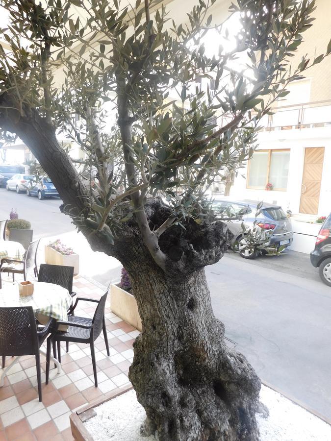 Hotel Dolores Rimini Bagian luar foto