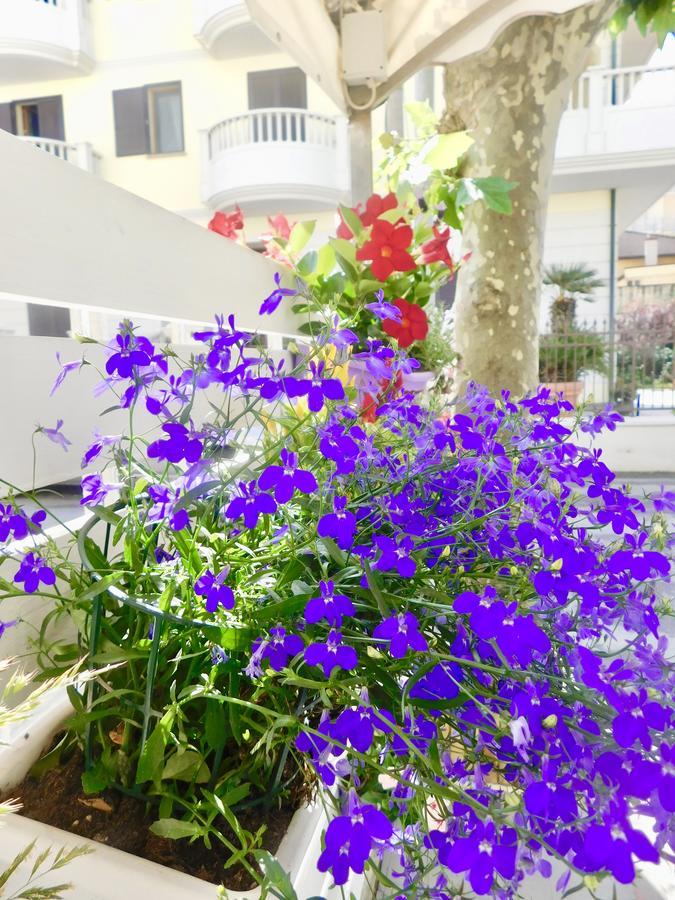 Hotel Dolores Rimini Bagian luar foto